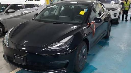 TESLA MODEL 3 2023 5YJ3E1EA9PF501535 image